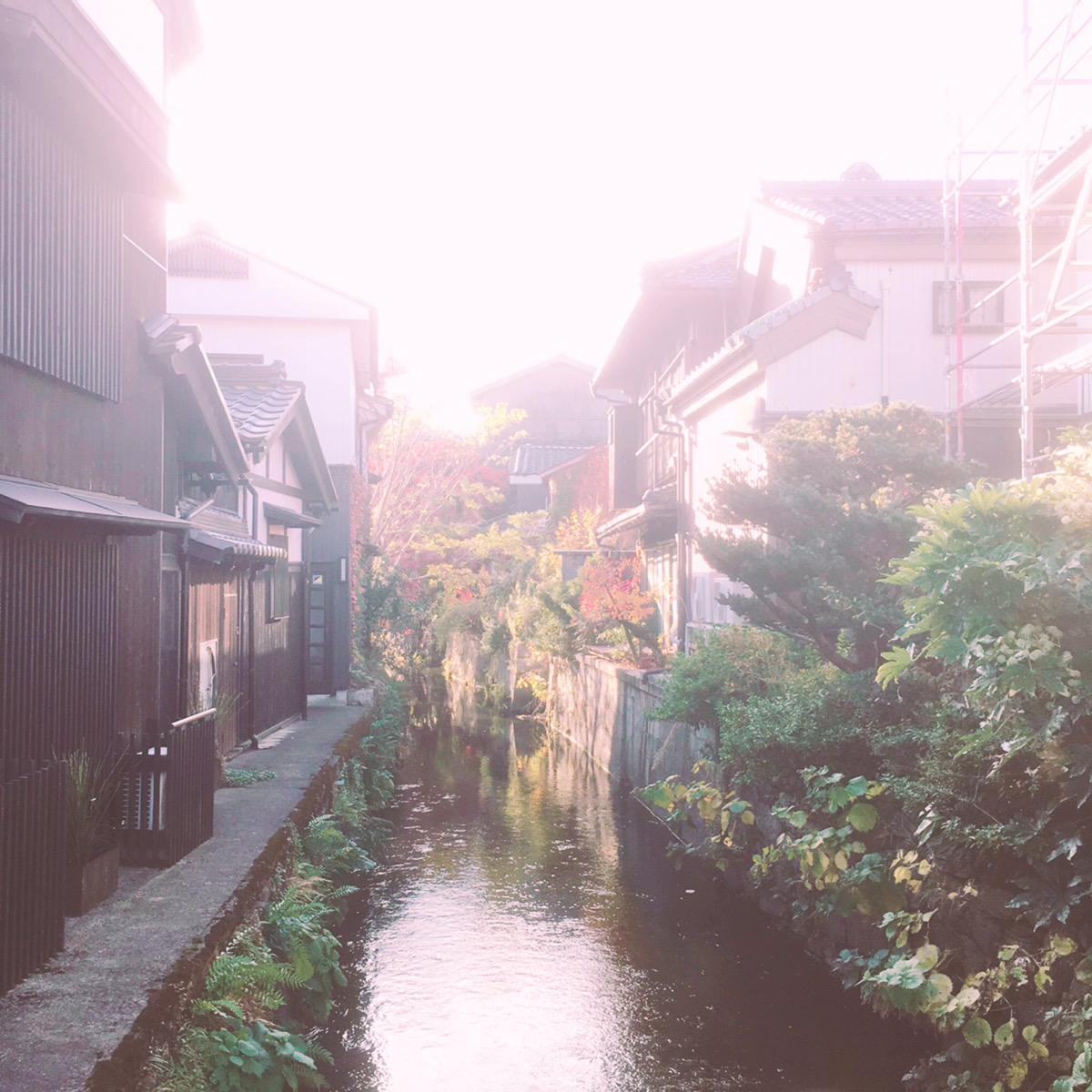 DEMO SITE へようこそ