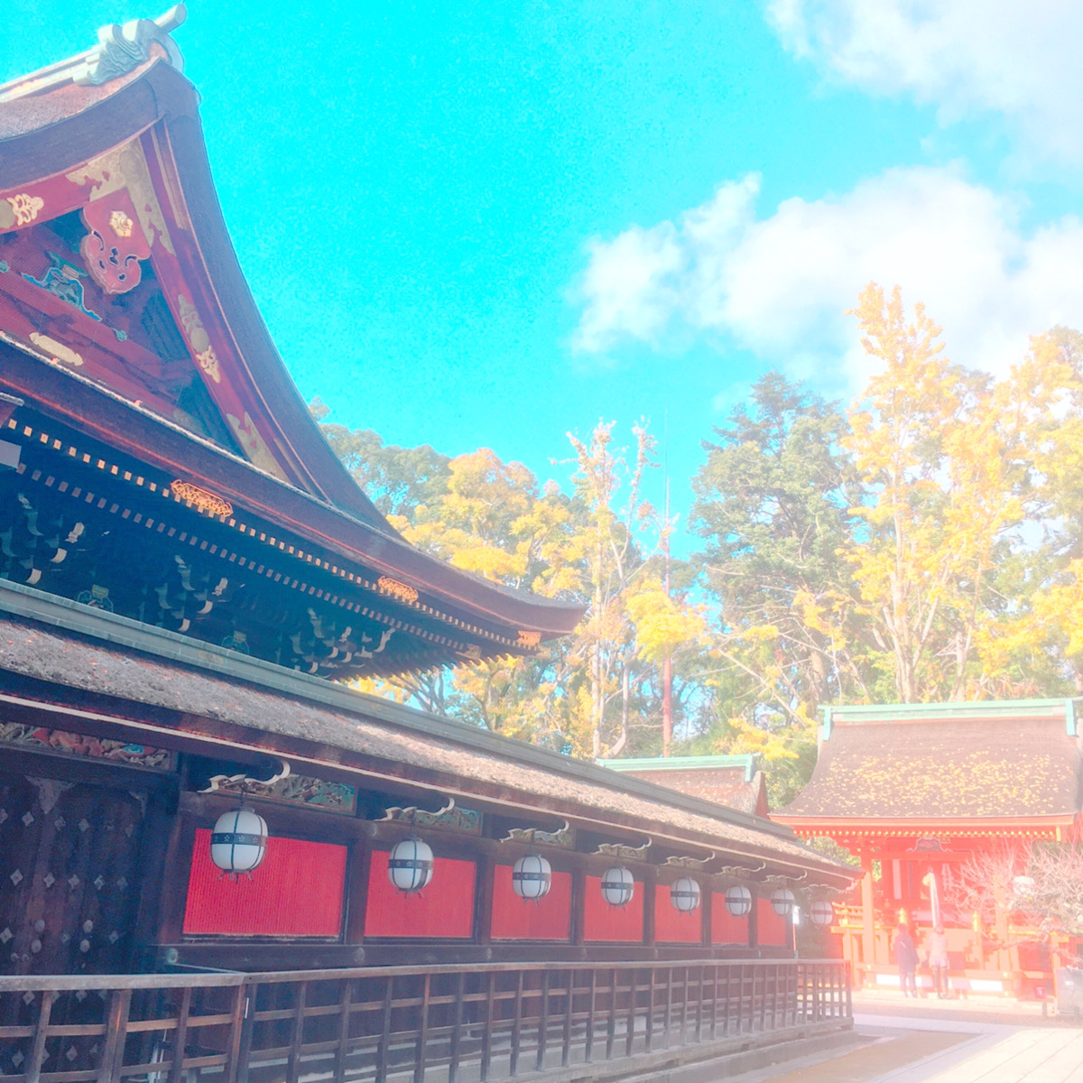 キャンペーンのお知らせ